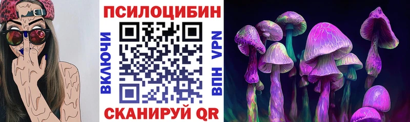 omg маркетплейс  Калининск  Псилоцибиновые грибы GOLDEN TEACHER  купить наркотик 